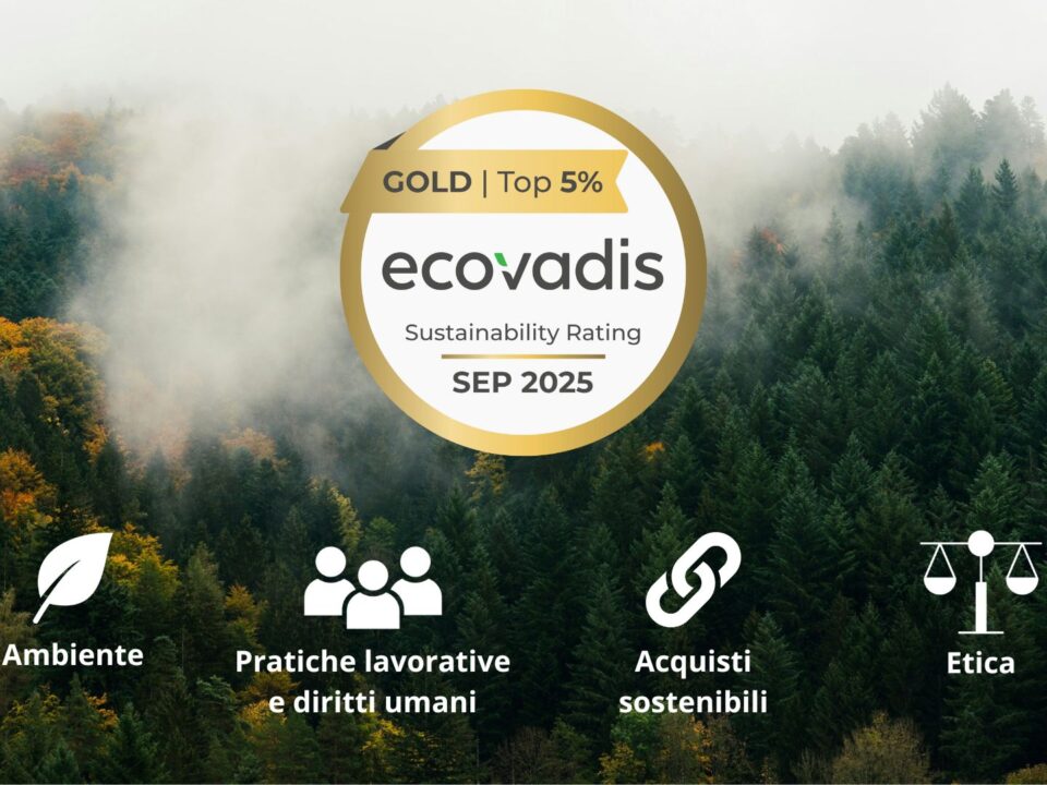 Ecovadis Gold
